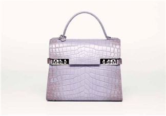 delvaux2017春夏系列包包款式有哪些_好看嗎？