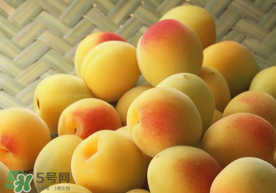 杏和雞蛋能一起吃嗎？杏子和雞蛋能一起吃嗎？