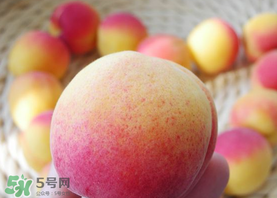 杏的熱量高嗎？一個杏的熱量是多少？