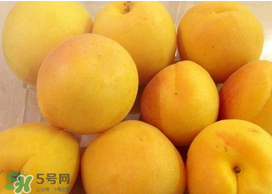 杏吃多了會怎么樣？杏吃多了會不會上火?