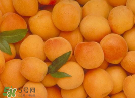杏怎么催熟？杏怎么放熟的快？