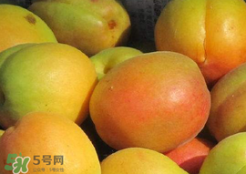 杏怎么催熟？杏怎么放熟的快？