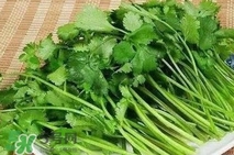 香菜洗腎有科學依據(jù)么？香菜能洗腎是真的嗎？