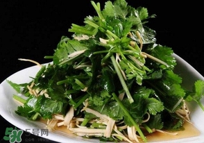 香菜是什么菜？香菜是陽痿草嗎？
