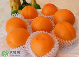 杏子可以放冰箱嗎？杏子可以冷藏嗎？