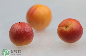 杏子怎么保存？長(zhǎng)杏子怎么保存時(shí)間長(zhǎng)？