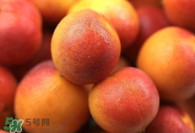 新鮮杏子可以放冰箱嗎？新鮮杏子怎么保存？