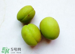 青杏怎么催熟？青杏怎么變黃？