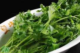 香菜是回奶的嗎？香菜是回奶還是下奶