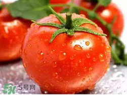 杏和西紅柿能一起吃嗎？杏子能和西紅柿一起吃嗎？