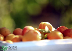 杏子好吃嗎？杏子可以多吃嗎？