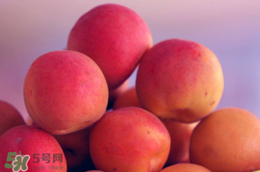 杏子好吃嗎？杏子可以多吃嗎？