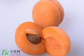 杏子好吃嗎？杏子可以多吃嗎？