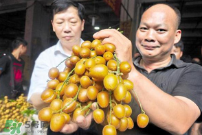 黃皮好吃嗎？黃皮是什么味道？