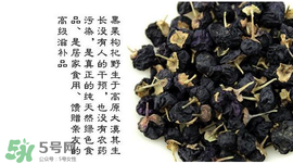 黑枸杞真假怎么辨別？黑枸杞真假辨別的方法