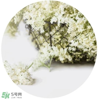 lululun plus面膜怎么樣？lululun plus面膜哪款好