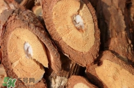 山葡萄根一斤多少錢？山葡萄根功效與作用