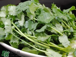 香菜是發(fā)物嗎？香菜是不是發(fā)物