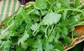 香菜洗腎有科學依據(jù)么？香菜能洗腎是真的嗎？