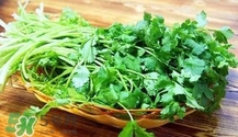 香菜是寒性食物嗎？香菜是熱性還是涼性？