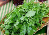 香菜洗腎有科學依據么？香菜能洗腎是真的嗎？