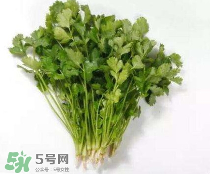 香菜洗腎有科學依據(jù)么？香菜能洗腎是真的嗎？