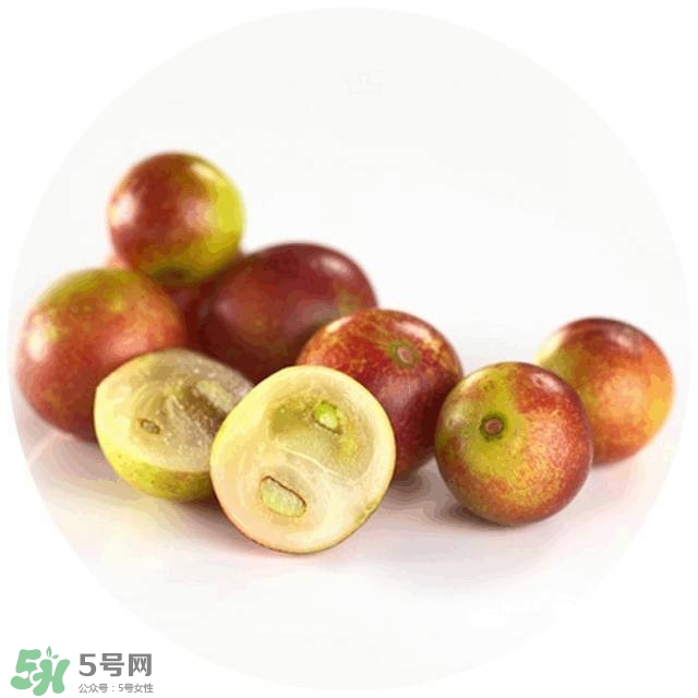lululun plus面膜怎么樣？lululun plus面膜哪款好