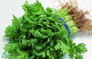 香菜是回奶的嗎？香菜是回奶還是下奶