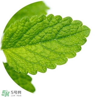 lululun plus面膜怎么樣？lululun plus面膜哪款好