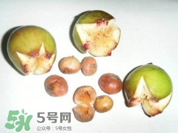野地瓜滕熬水吃能治療什么??？野地瓜怎么吃