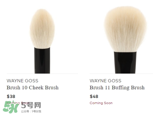 wayne goss是什么牌子？wayne goss化妝刷怎么樣？