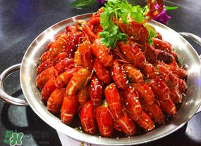 油燜大蝦吃哪些部位？怎么正確吃油燜大蝦？
