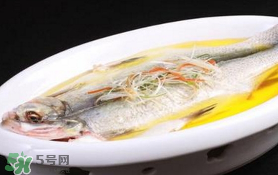 孕婦可以吃白條魚嗎？白條魚孕婦能吃嗎？