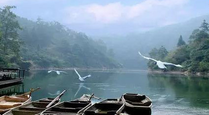 馬口魚能養(yǎng)殖嗎？馬口魚怎么養(yǎng)？