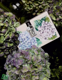dolce gabanna杜嘉班納2017秋冬繡球花系列怎么樣_好看嗎？