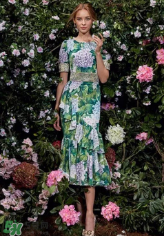 dolce gabanna杜嘉班納2017秋冬繡球花系列怎么樣_好看嗎？