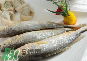 黃魚多少錢一斤？黃魚多少錢一斤2017？