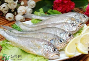 小黃魚多少錢一斤？野生小黃魚多少錢一斤？