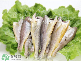 小黃魚(yú)可以養(yǎng)殖嗎？小黃魚(yú)能人工養(yǎng)殖嗎？