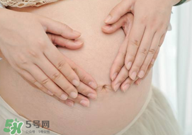 孕婦驅蚊植物推薦 孕婦能用植物驅蚊嗎？