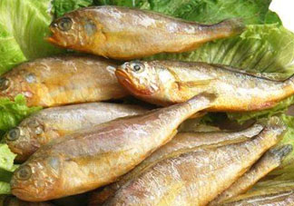 小黃魚多少錢一斤？野生小黃魚多少錢一斤？