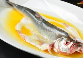 白條魚能長多大？白條魚可以長多大？