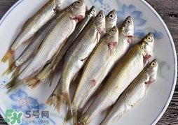 孕婦可以吃白條魚嗎？白條魚孕婦能吃嗎？