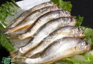小黃魚不能和什么一起吃？小黃魚和什么相克？