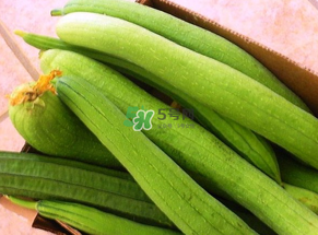 7月份吃什么蔬菜？七月份吃什么蔬菜？