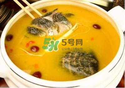 甲魚湯怎么做？甲魚湯的做法