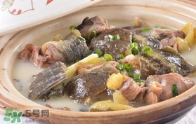 甲魚湯孕婦能喝嗎？甲魚湯孕婦可以喝嗎