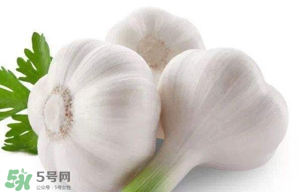 新蒜頭多少錢一斤2017？新蒜頭市場價格