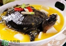 甲魚湯孕婦能喝嗎？甲魚湯孕婦可以喝嗎