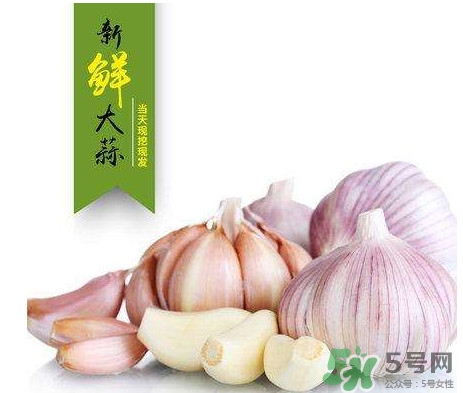 新蒜頭什么時候上市？新蒜頭幾月份上市